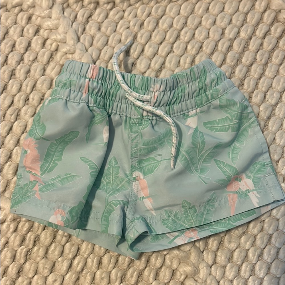 The Beaufort Bonnet Company Kids Swim Trunks - Green and Pink